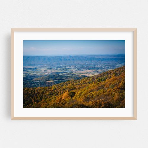 Shenandoah Autumn