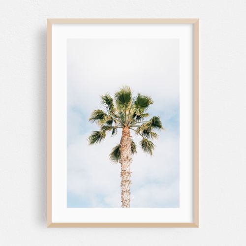 Treasure Island Palm