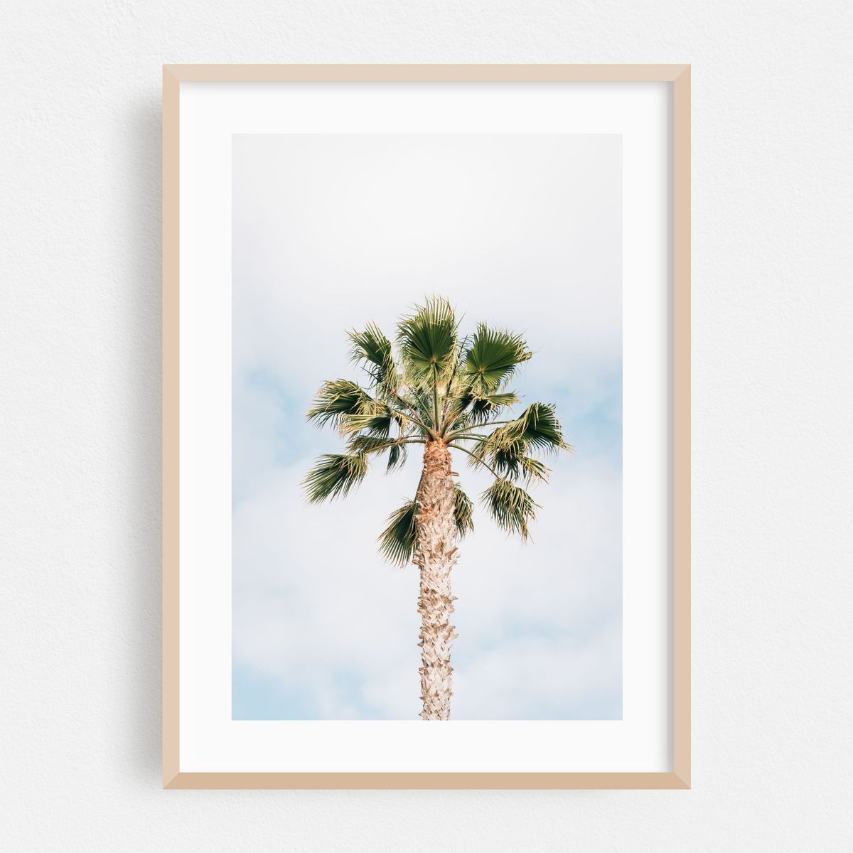 Treasure Island Palm – image 1 of 16