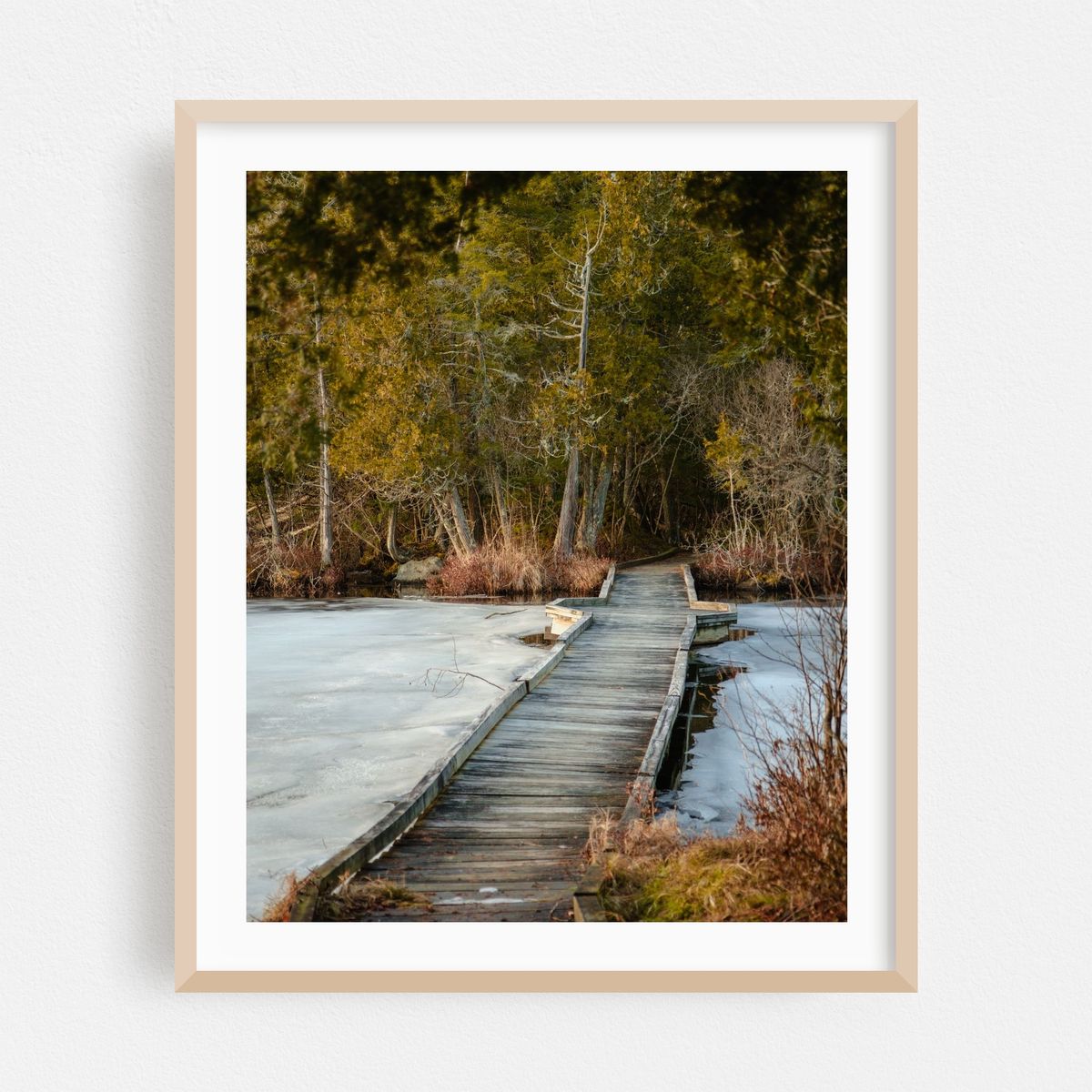 Indian Carry Boardwalk – image 1 of 12