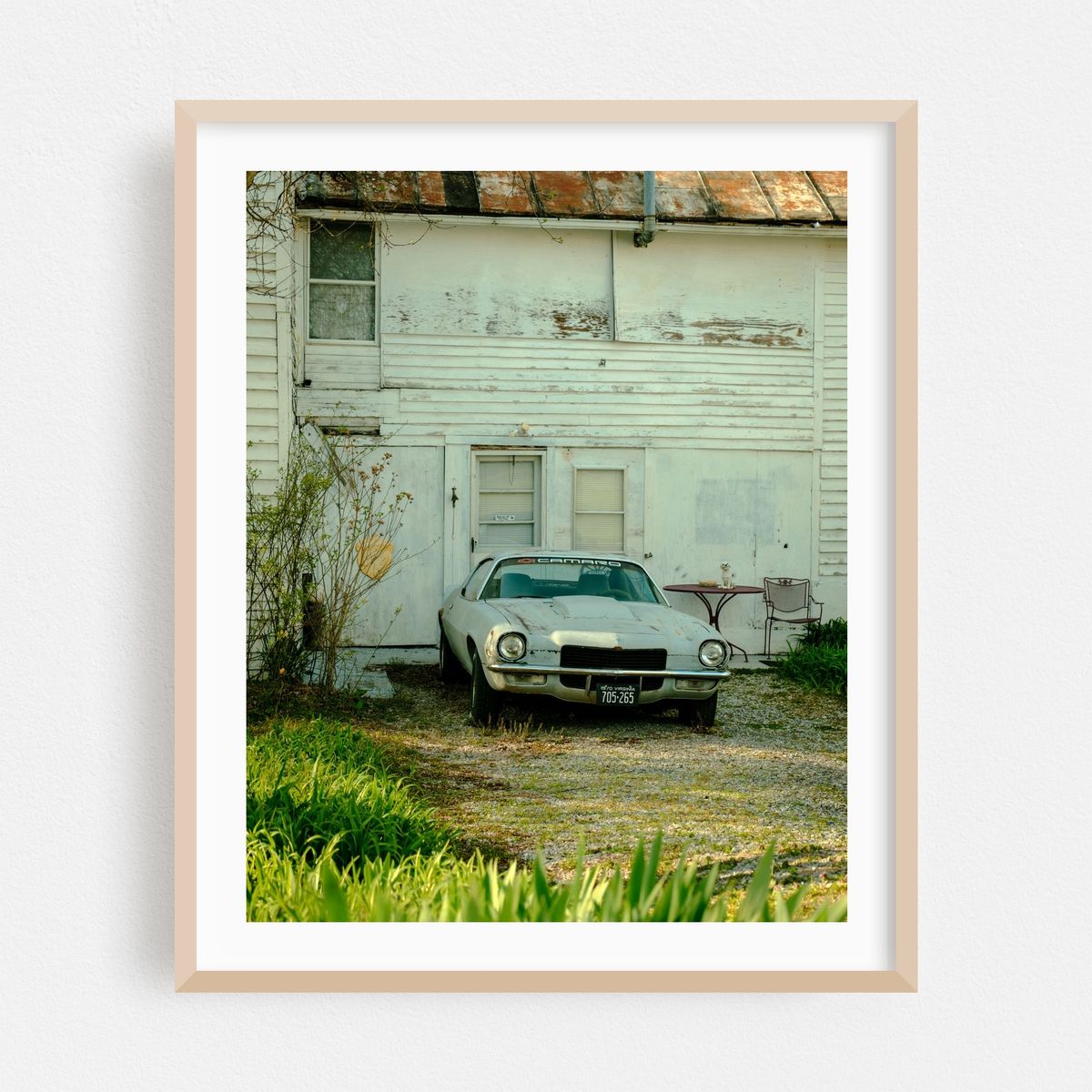 Camaro, Marion – image 1 of 12