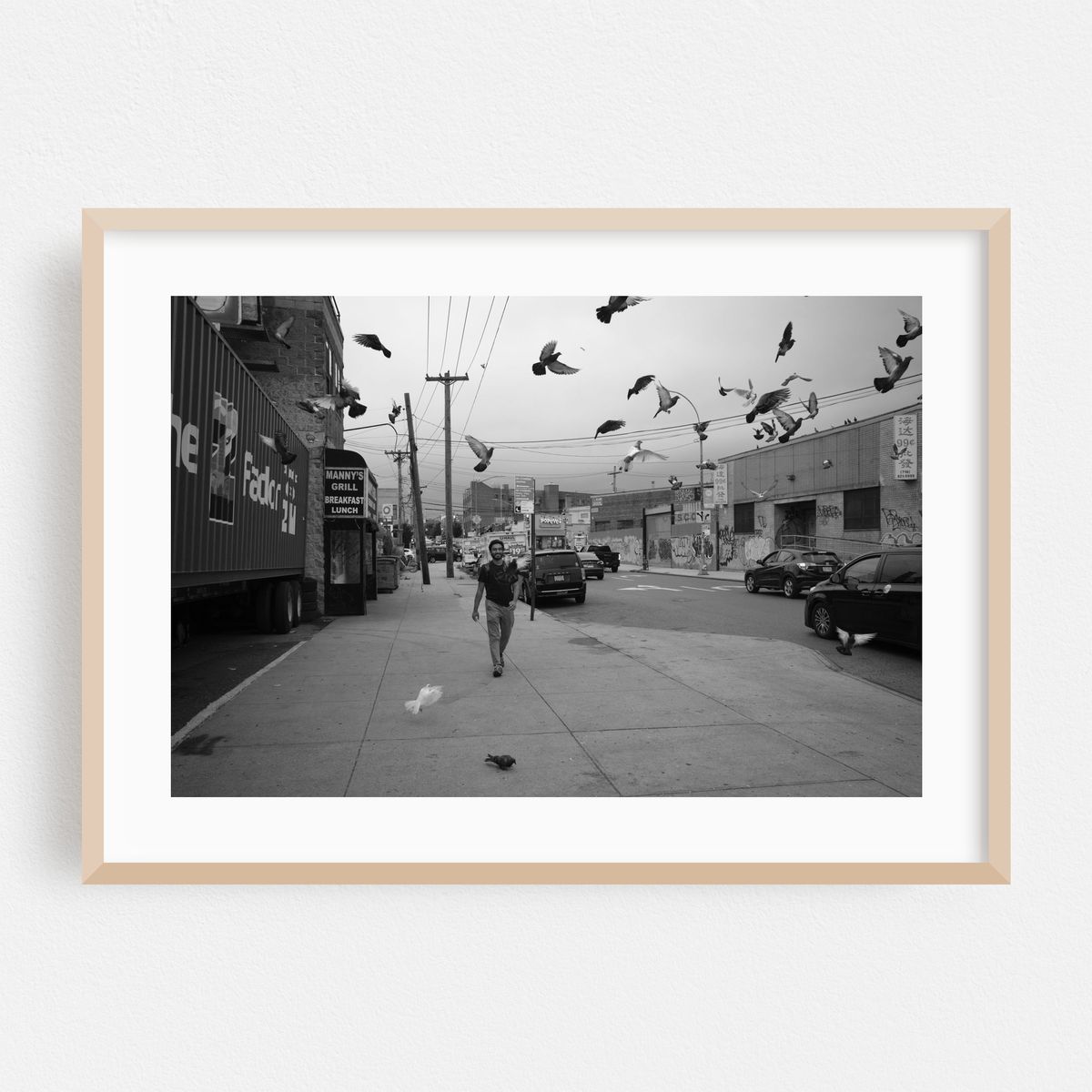 Pigeons Hate This Guy – image 1 of 6