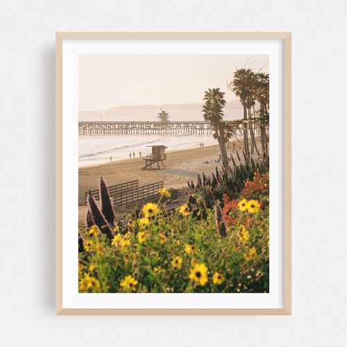 Floral San Clemente 02