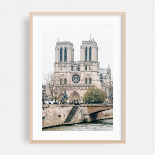 Cathédrale Notre-Dame de Paris 01