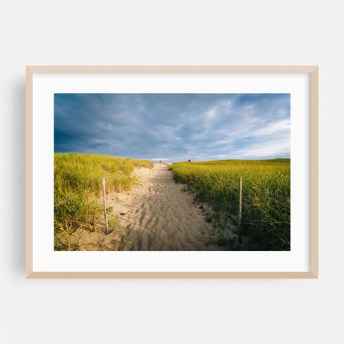 Dunes at Race Point, Provincetown 03