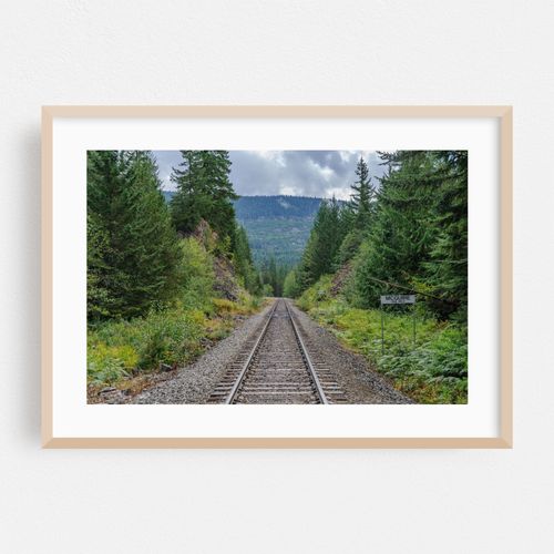 Train to Mc Guire