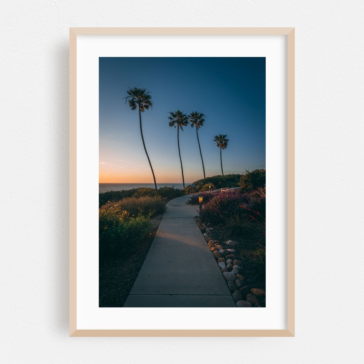 La Jolla Palms 03 – image 1 of 16