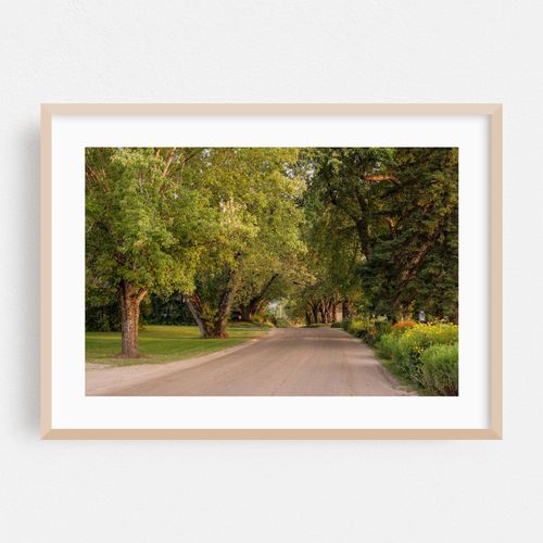 Darling Hill Road, Burke 02