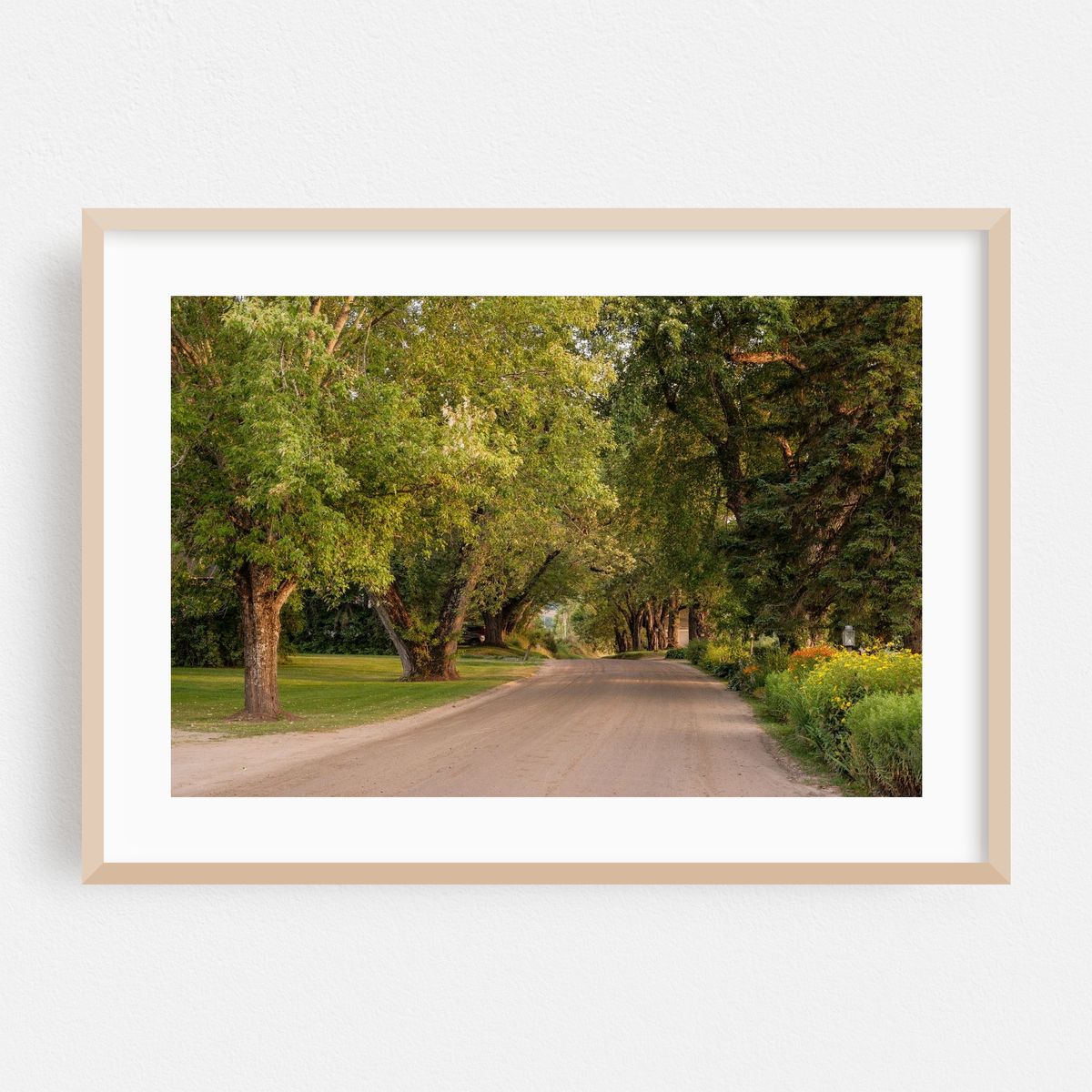 Darling Hill Road, Burke 02 – image 1 of 6