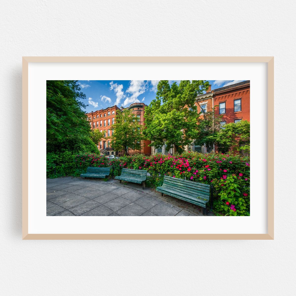 Park Ave Median Park – image 1 of 6