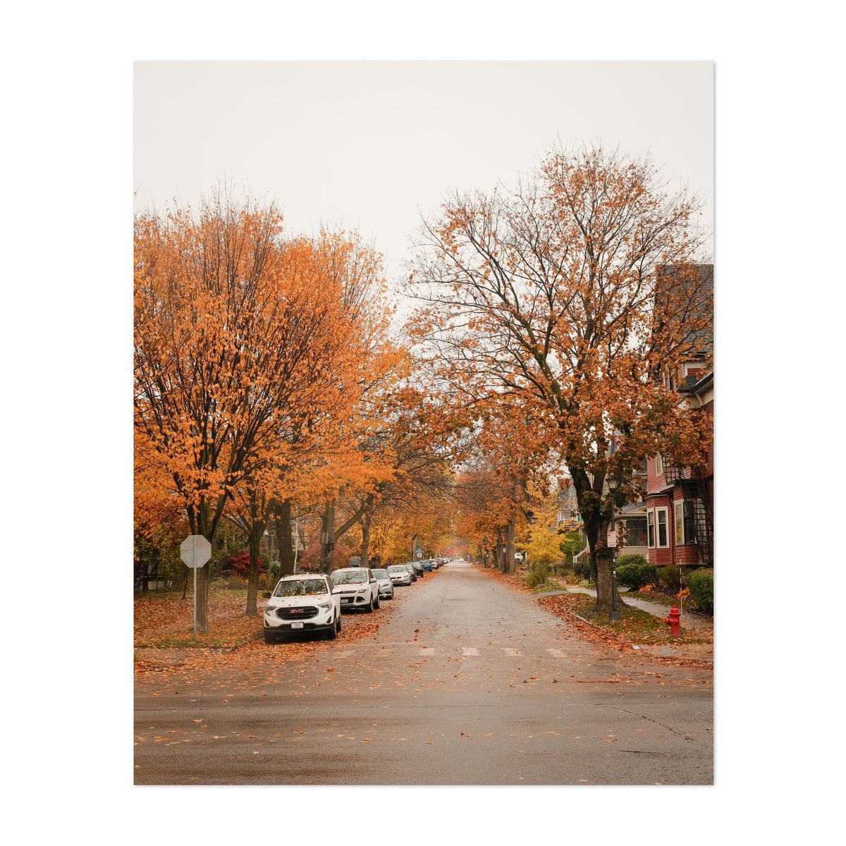 Autumn on Lexington Ave, Buffalo – image 1 of 2