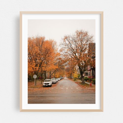 Autumn on Lexington Ave, Buffalo