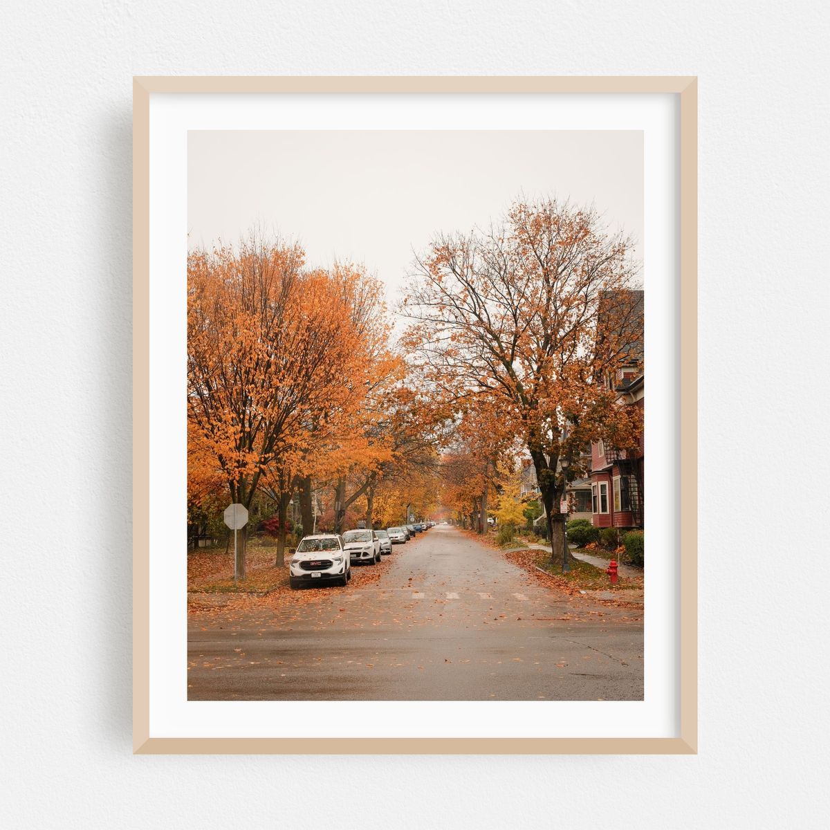 Autumn on Lexington Ave, Buffalo – image 1 of 12