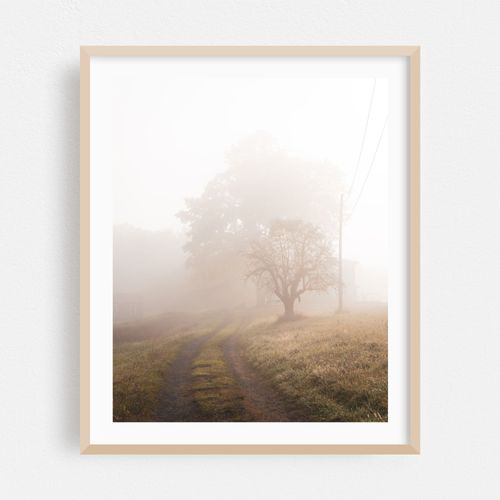 Morning Fog, Shawangunks