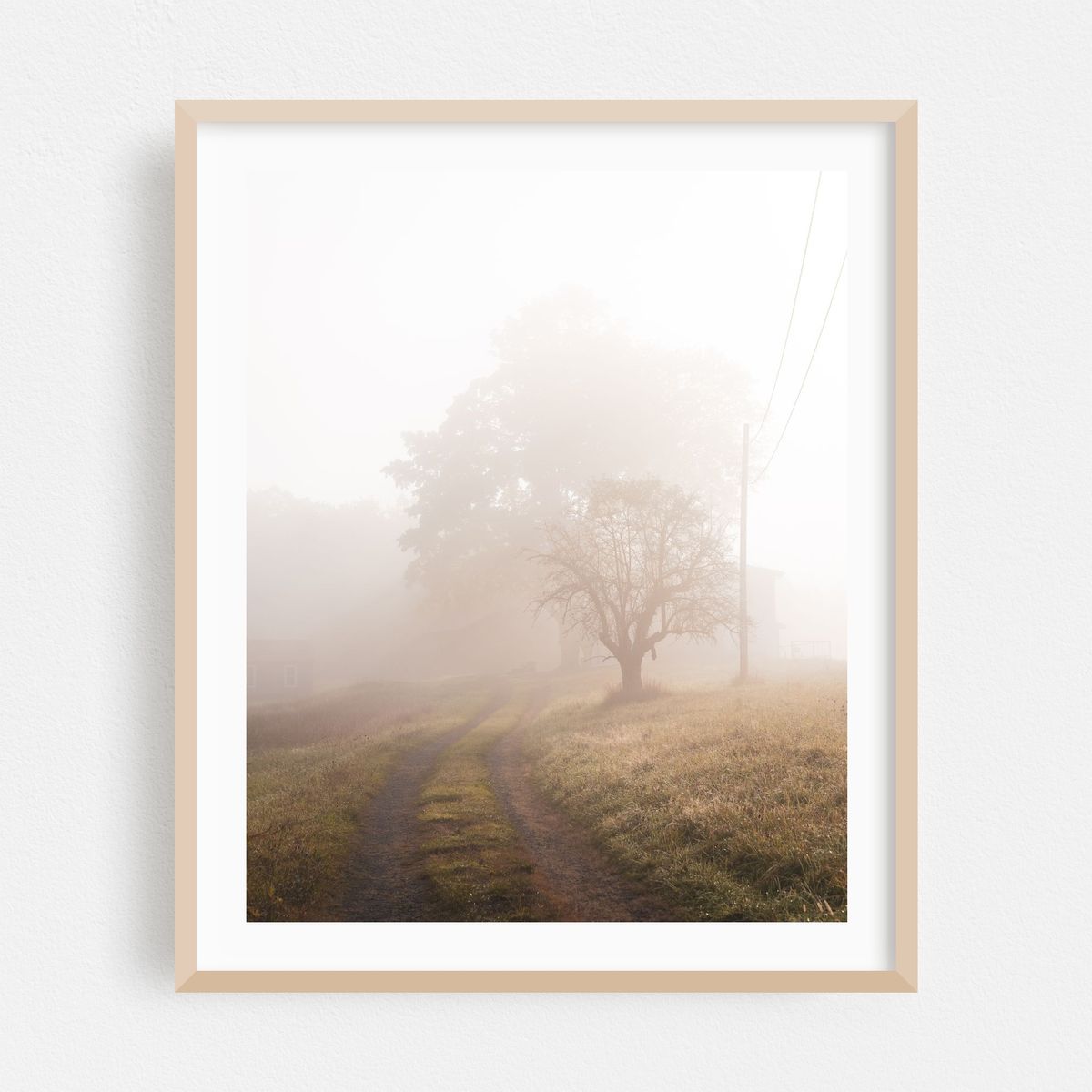 Morning Fog, Shawangunks – image 1 of 12