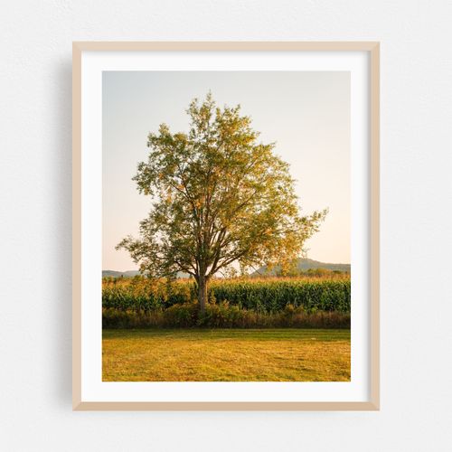Irasburg Rural