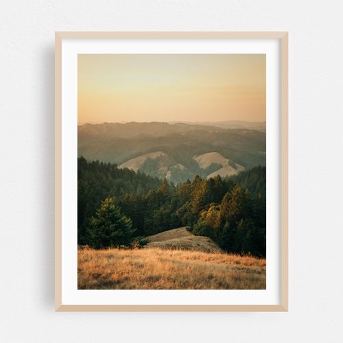 Tamalpais Evening View 05