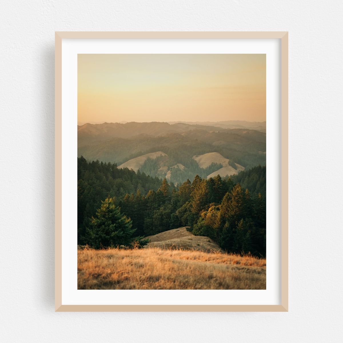 Tamalpais Evening View 05 – image 1 of 12