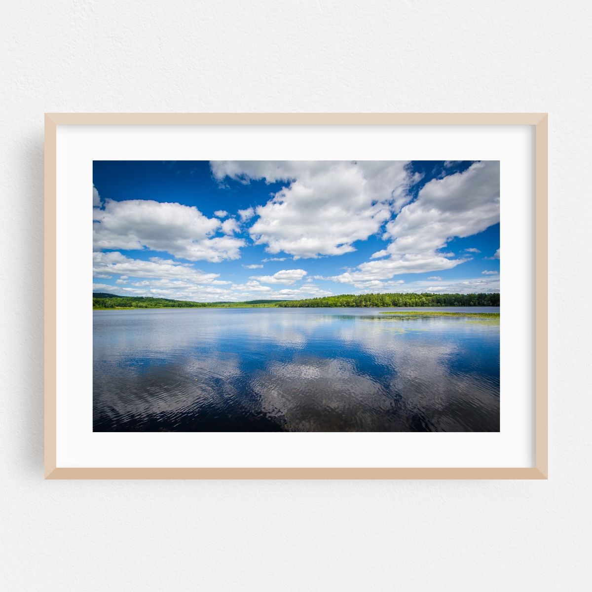 The Turtle Pond – image 1 of 6