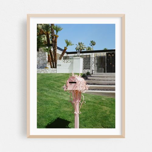 Pink Palm Springs II