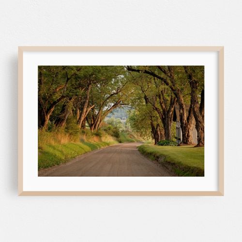 Darling Hill Road, Burke 01