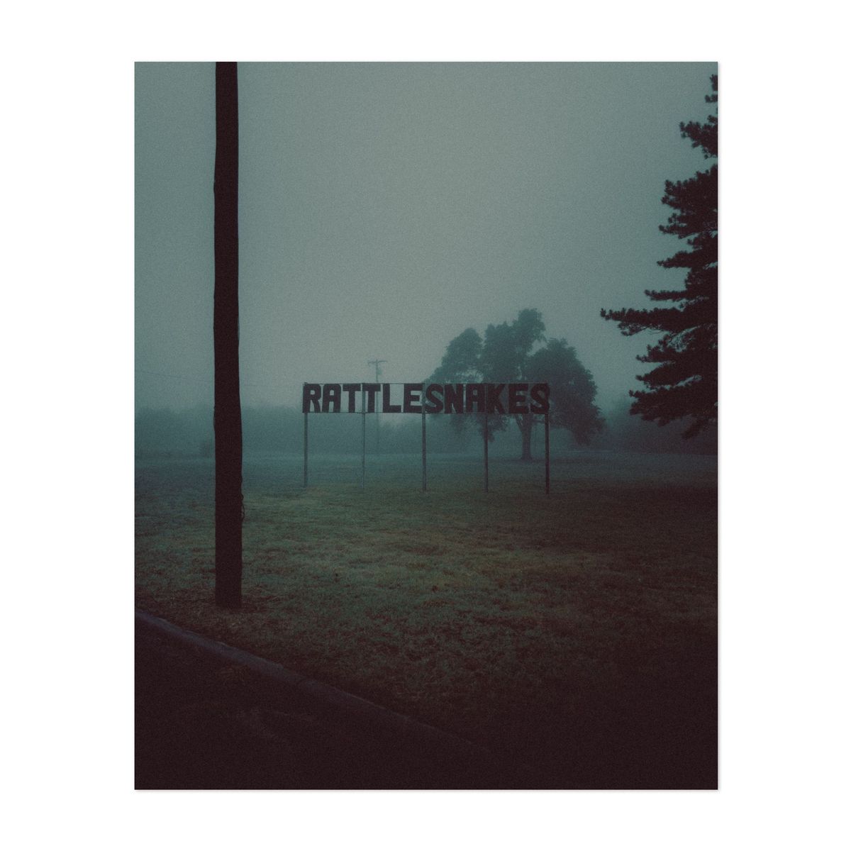 Foggy Morning in McLean 09 – image 1 of 2