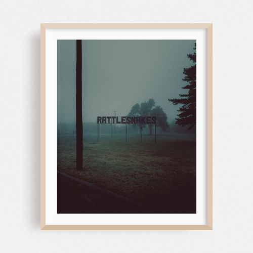 Foggy Morning in McLean 09
