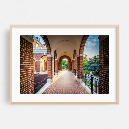 Arches