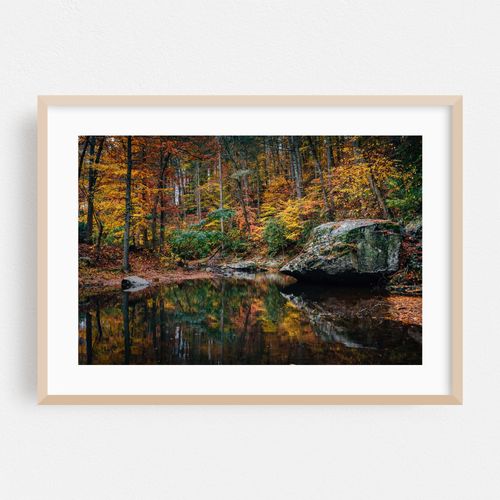 Reflections, Otter Creek