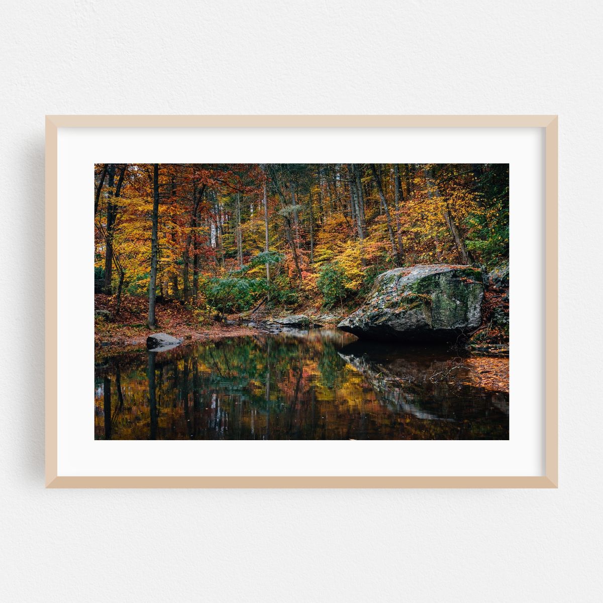 Reflections, Otter Creek – image 1 of 6