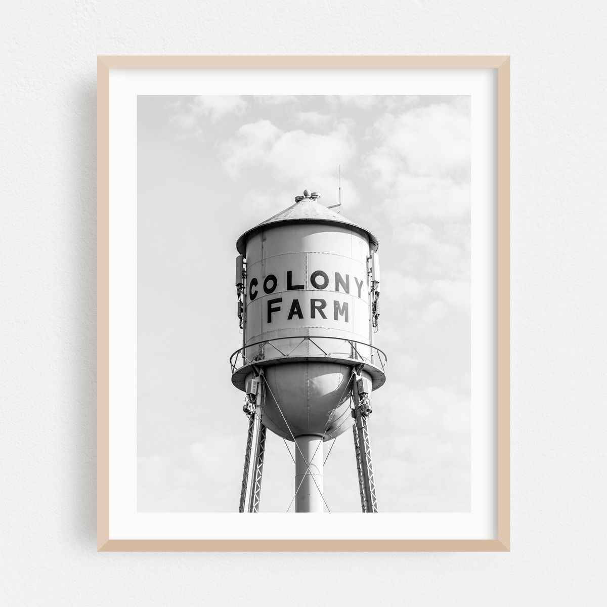 Colony Farm 03 B&W – image 1 of 12