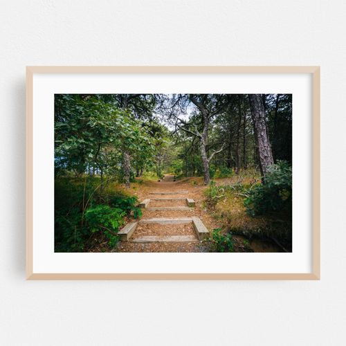 Uncle Tim's Island, Wellfleet 02
