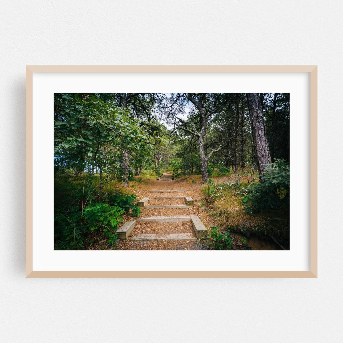 Uncle Tim's Island, Wellfleet 02 – image 1 of 6