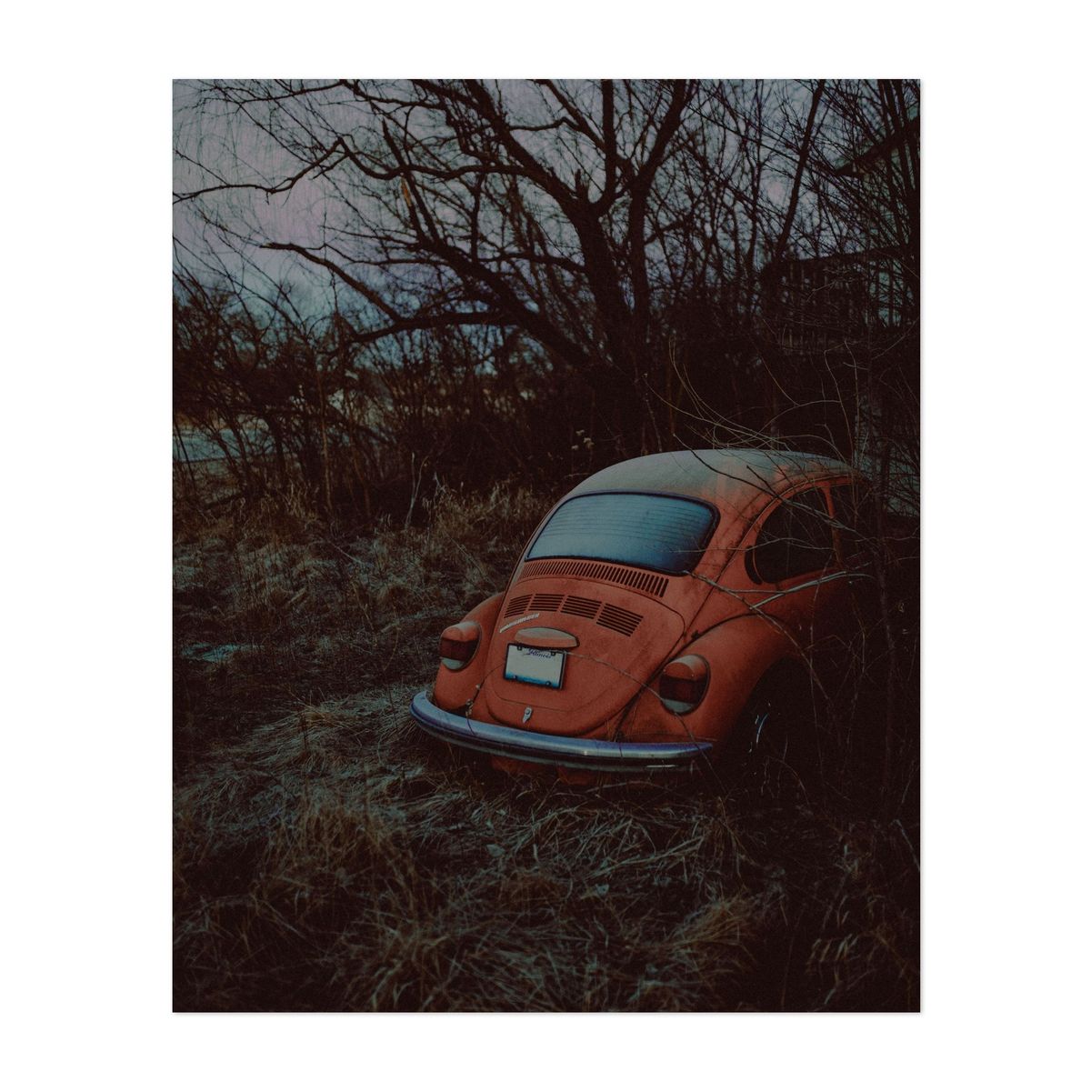Abandoned Orange Beetle 01 – image 1 of 2
