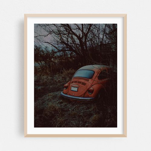 Abandoned Orange Beetle 01