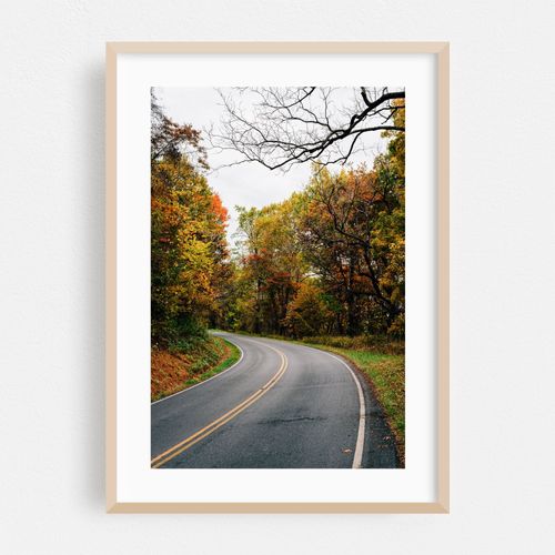 Autumn Skyline Drive