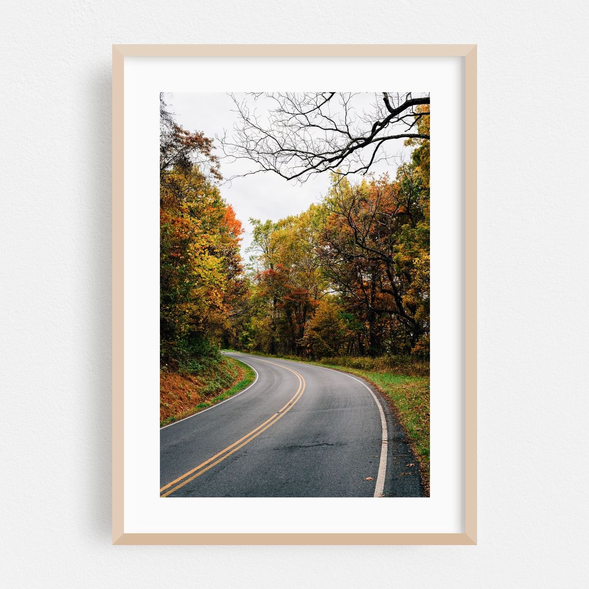 Autumn Skyline Drive – image 1 of 16