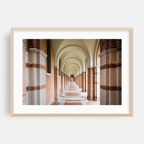 Arches, Rice University 01