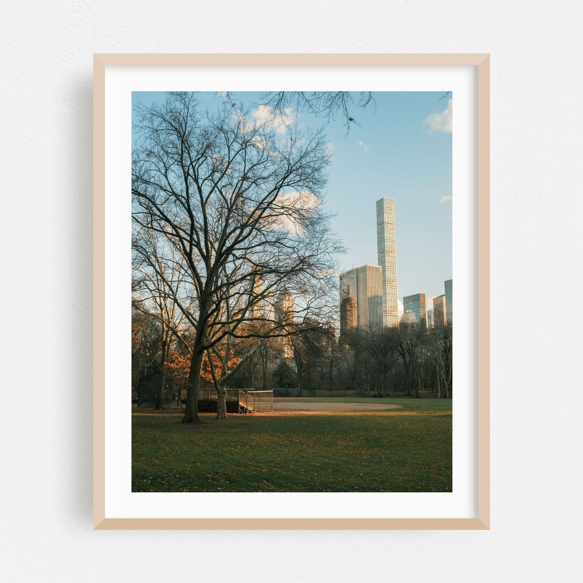 Central Park and Midtown Manhattan – image 1 of 12