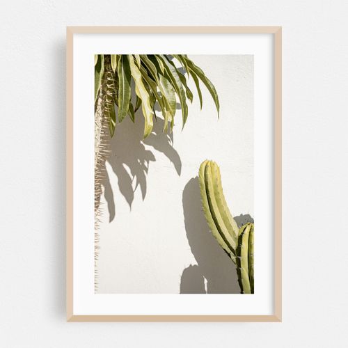 Botanicals