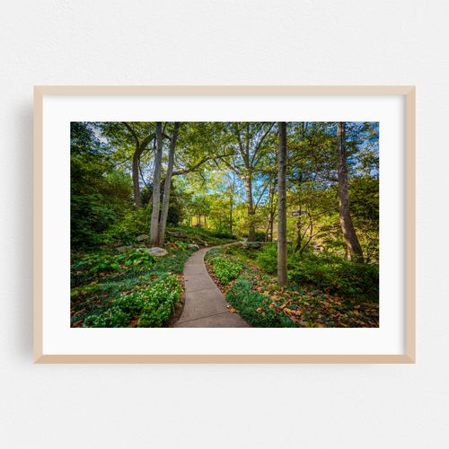 Path at Falls Park, Greenville 02