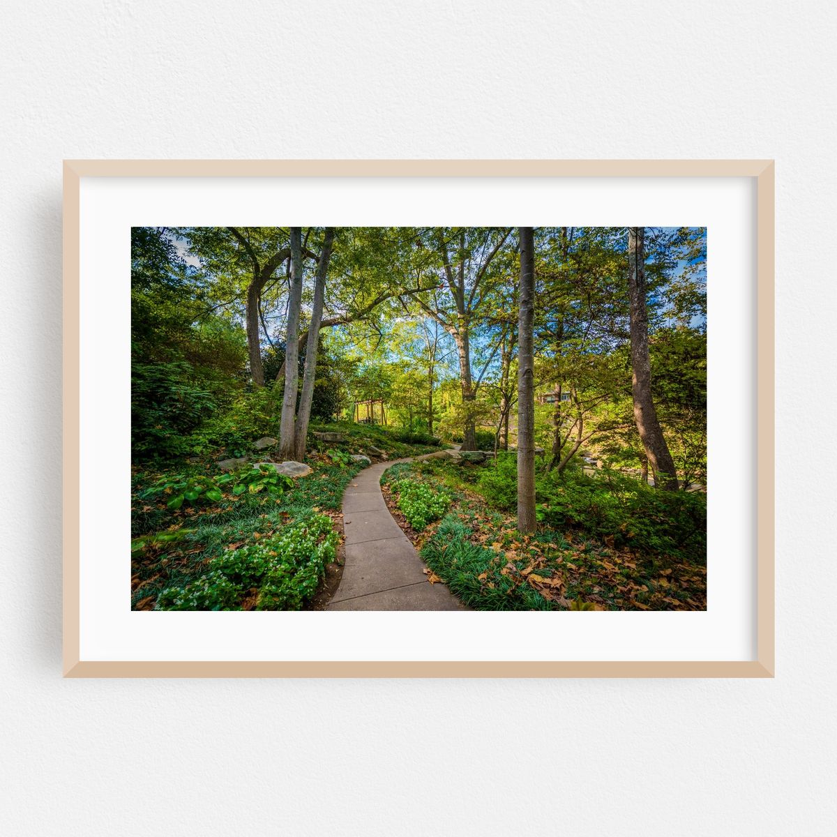 Path at Falls Park, Greenville 02 – image 1 of 6