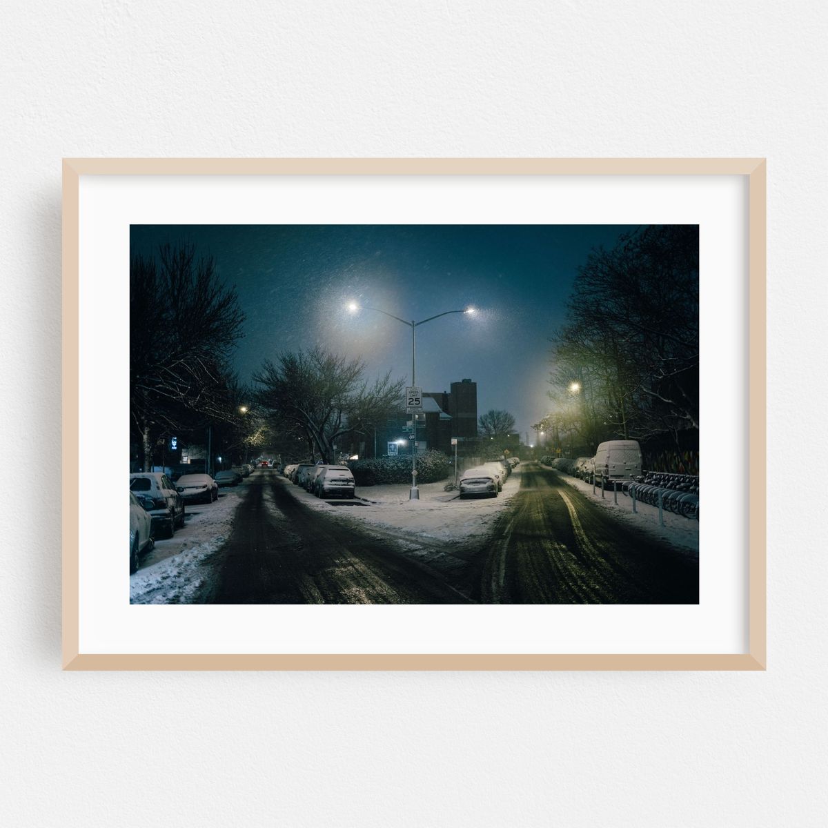 Snowstorm in Elmhurst – image 1 of 6