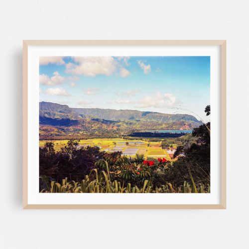 Hanalei in Color