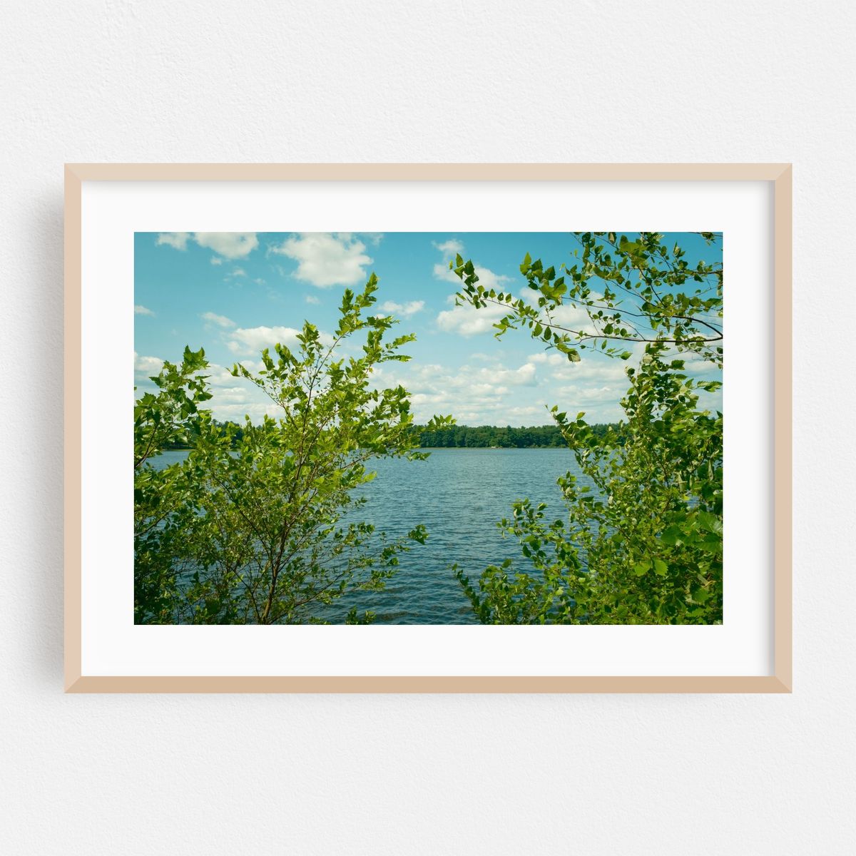 Newhall Park, Lynnfield – image 1 of 6
