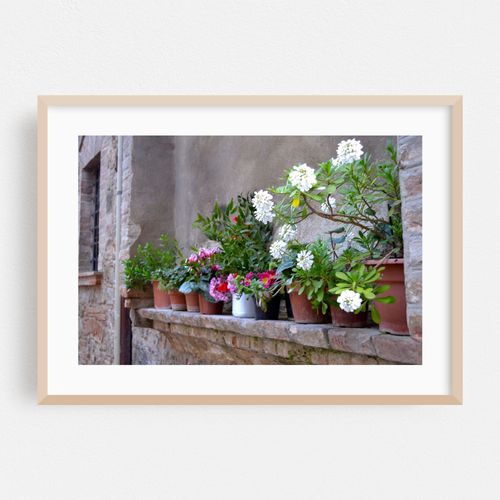 Tuscan Garden