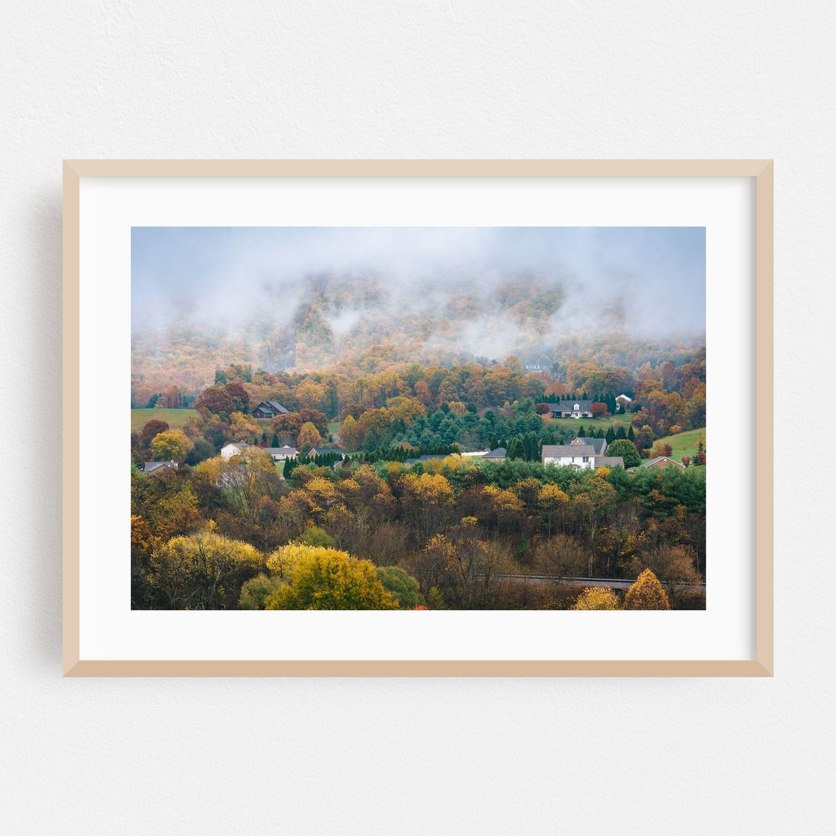 Foggy Appalachians – image 1 of 6