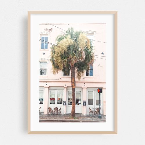 Palm on Pink