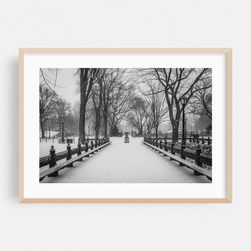Snowy Central Park 03 B&W