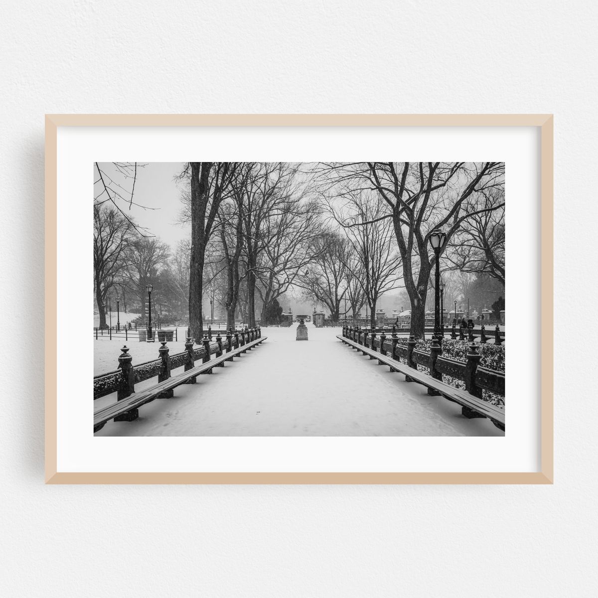 Snowy Central Park 03 B&W – image 1 of 6